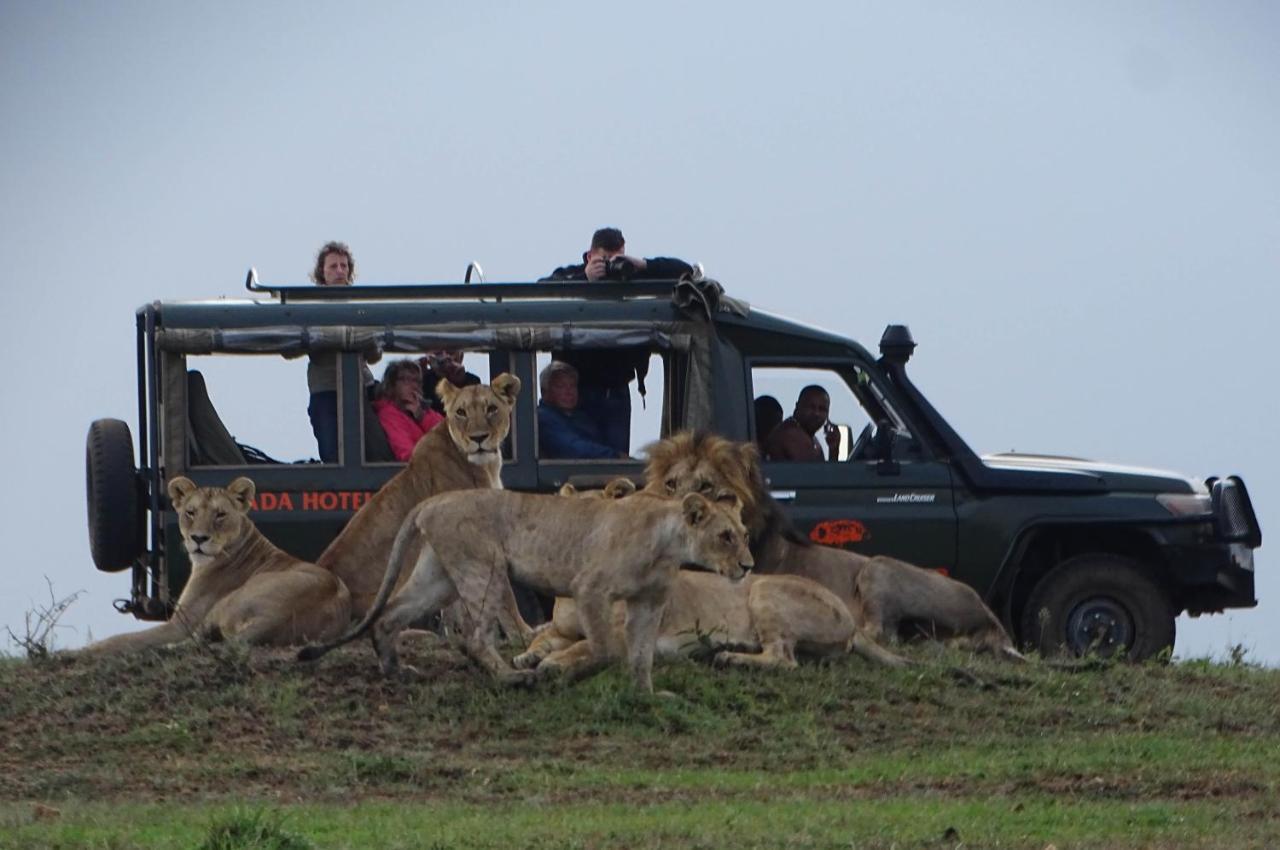 Fig Tree Camp - Maasai Mara Hotel Talek Bagian luar foto